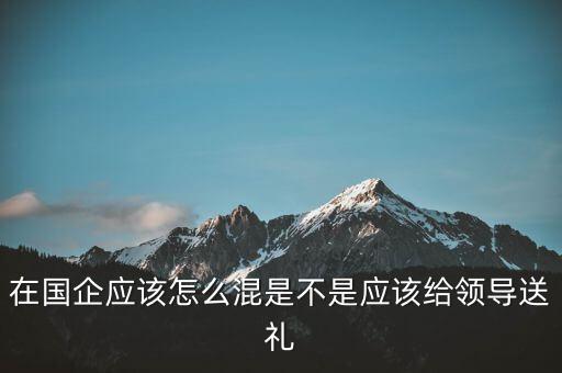 沒有關系在國企怎么混,在國企應該怎么混