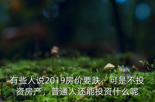 有些人說2019房價(jià)要跌，可是不投資房產(chǎn)，普通人還能投資什么呢