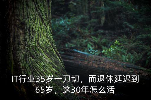 IT行業(yè)35歲一刀切，而退休延遲到65歲，這30年怎么活