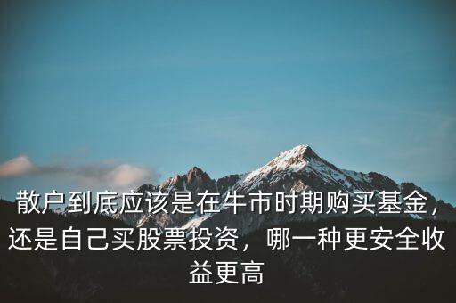 散戶到底應(yīng)該是在牛市時(shí)期購買基金，還是自己買股票投資，哪一種更安全收益更高