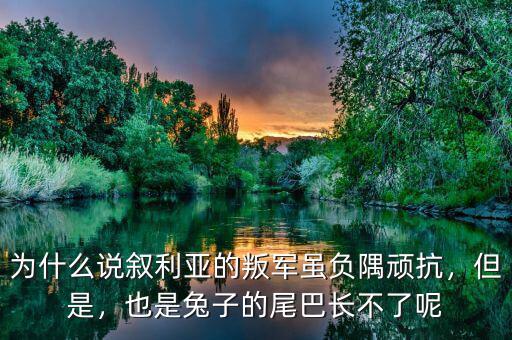 兔子尾巴長(zhǎng)不了是什么意思,也是兔子的尾巴長(zhǎng)不了呢