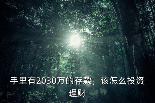 手里有2030萬的存款，該怎么投資理財