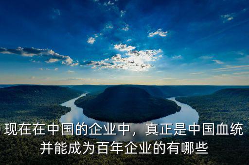 現(xiàn)在在中國(guó)的企業(yè)中，真正是中國(guó)血統(tǒng)并能成為百年企業(yè)的有哪些