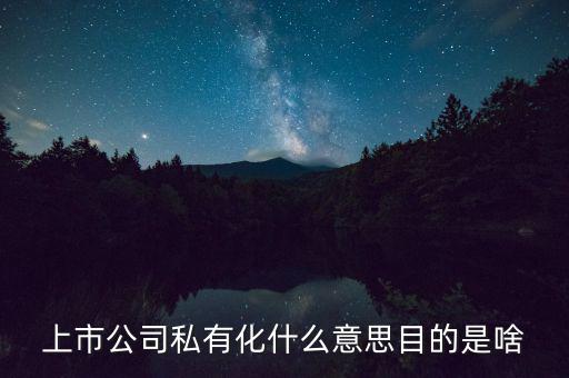 上市公司私有化什么意思目的是啥