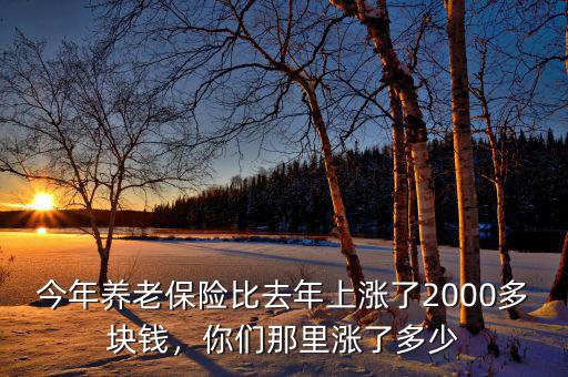 今年養(yǎng)老保險(xiǎn)比去年上漲了2000多塊錢，你們那里漲了多少