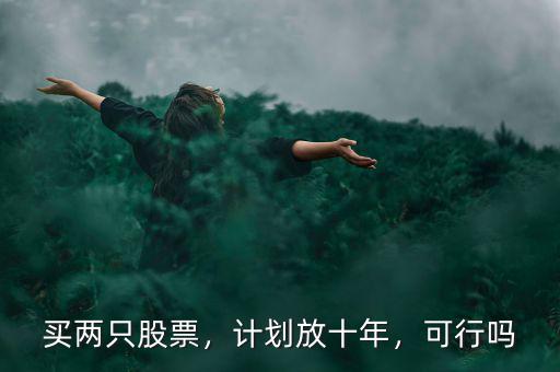 買兩只股票，計(jì)劃放十年，可行嗎