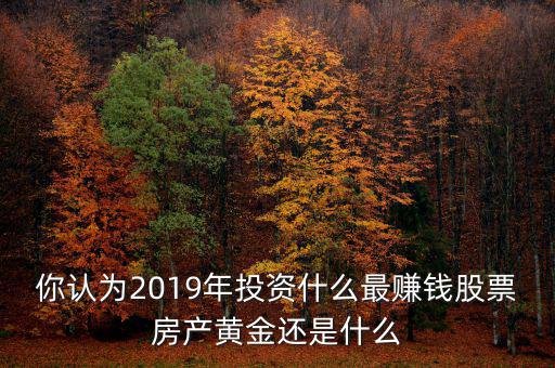 你認為2019年投資什么最賺錢股票房產黃金還是什么