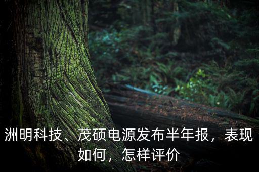 洲明科技、茂碩電源發(fā)布半年報(bào)，表現(xiàn)如何，怎樣評(píng)價(jià)