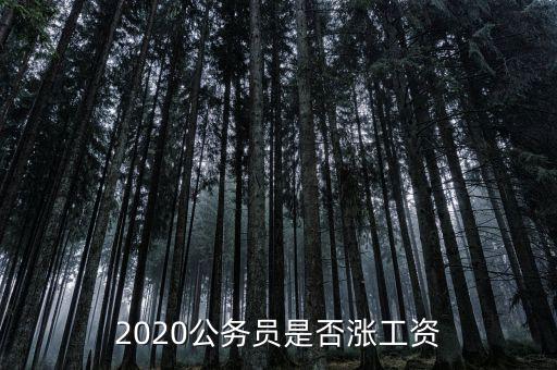 2020公務(wù)員是否漲工資