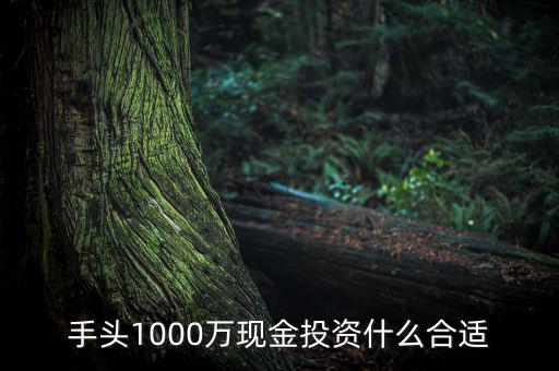 1000萬投資什么,手上有1000萬