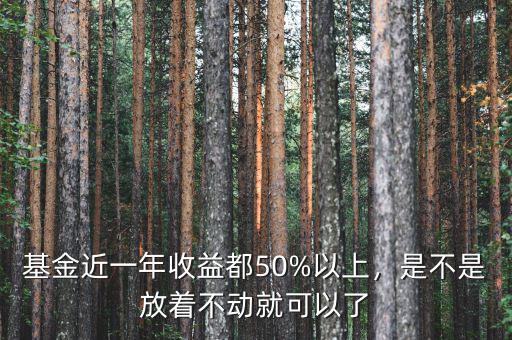 基金近一年收益都50%以上，是不是放著不動(dòng)就可以了