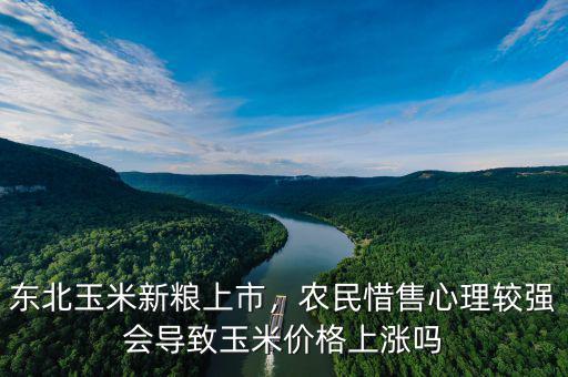 東北玉米新糧上市，農(nóng)民惜售心理較強會導(dǎo)致玉米價格上漲嗎