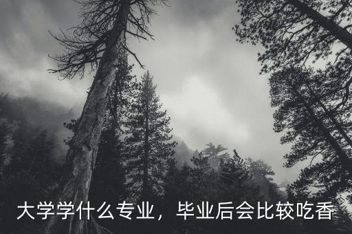 大學(xué)讀什么專業(yè)最賺錢,什么專業(yè)前景比較好