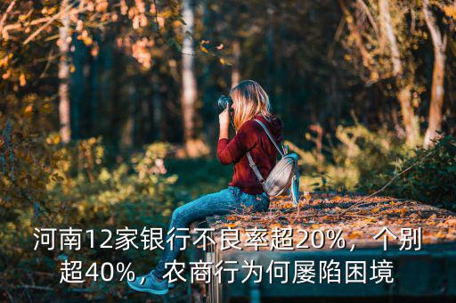 河南12家銀行不良率超20%，個(gè)別超40%，農(nóng)商行為何屢陷困境