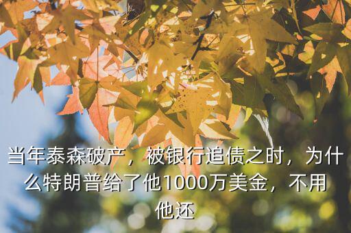 當(dāng)年泰森破產(chǎn)，被銀行追債之時(shí)，為什么特朗普給了他1000萬美金，不用他還