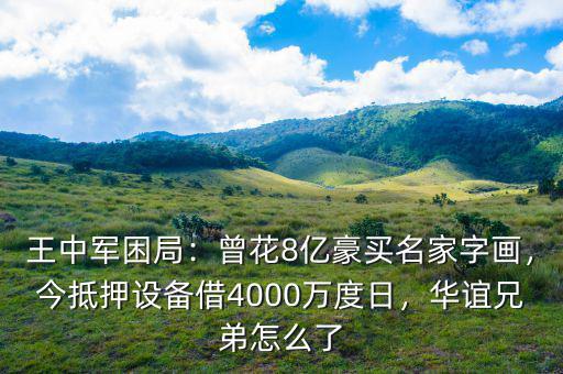 王中軍困局：曾花8億豪買(mǎi)名家字畫(huà)，今抵押設(shè)備借4000萬(wàn)度日，華誼兄弟怎么了