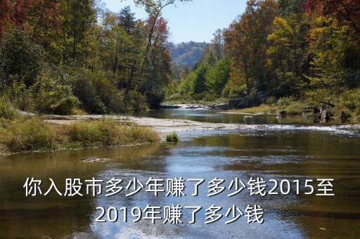 你入股市多少年賺了多少錢2015至2019年賺了多少錢