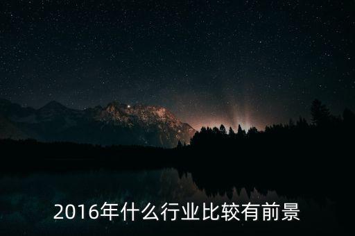 2016年什么行業(yè)比較有前景