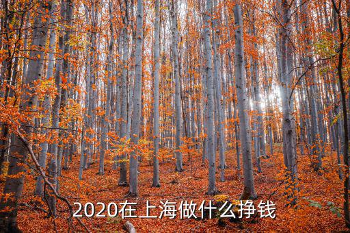 2020在上海做什么掙錢