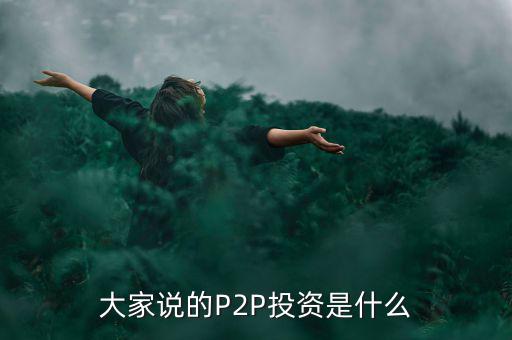 p2p投資什么,大家說(shuō)的P2P投資是什么