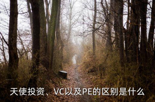 天使投資、VC以及PE的區(qū)別是什么