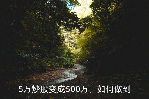 炒股200萬怎么變成5000萬,炒股如何一年變成500萬