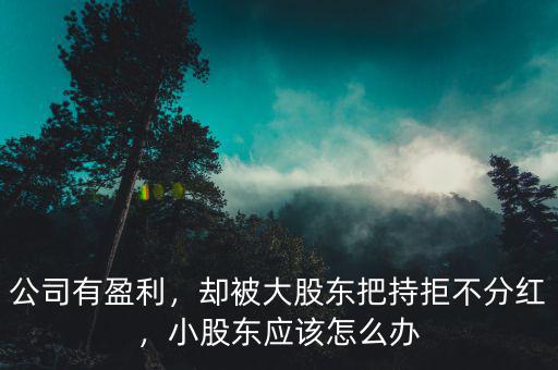 公司有盈利，卻被大股東把持拒不分紅，小股東應(yīng)該怎么辦