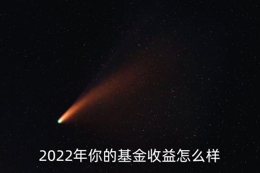 2022年你的基金收益怎么樣