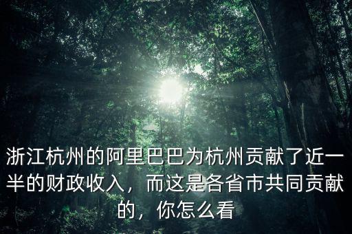 浙江杭州的阿里巴巴為杭州貢獻了近一半的財政收入，而這是各省市共同貢獻的，你怎么看