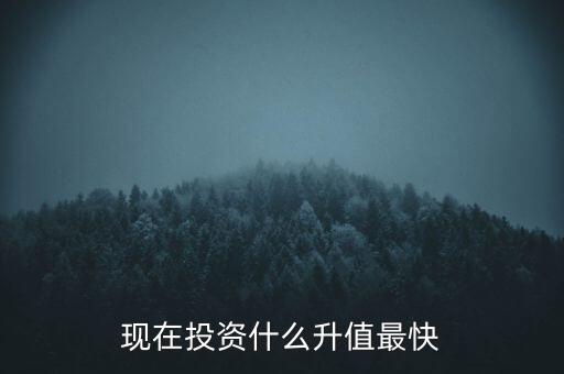 現(xiàn)在投資什么升值最快