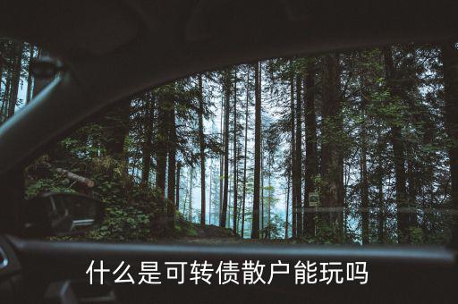 什么是可轉(zhuǎn)債散戶能玩嗎