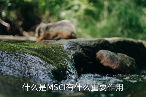 A股為加入MSCl需要什么條件,為何A股想加入