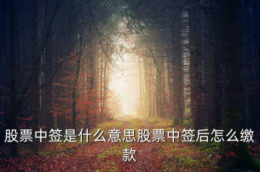 中簽了怎么繳款,股票中簽是什么意思