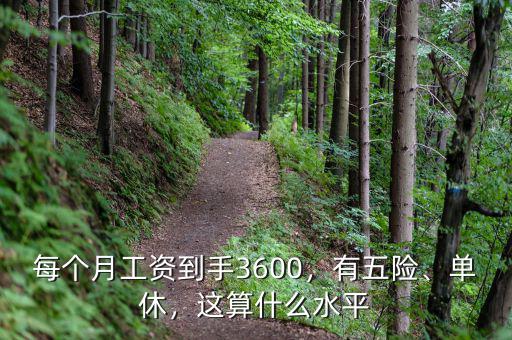 每個(gè)月工資到手3600，有五險(xiǎn)、單休，這算什么水平