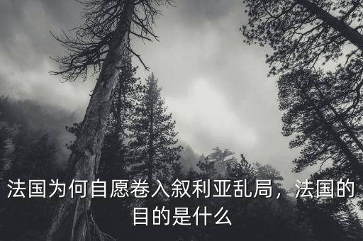 法國為何自愿卷入敘利亞亂局，法國的目的是什么