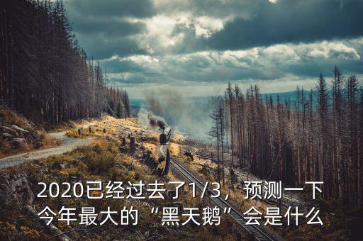 2020已經(jīng)過去了1/3，預(yù)測一下今年最大的“黑天鵝”會是什么