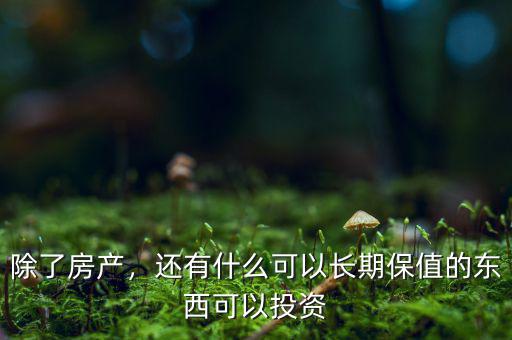 除了房產(chǎn)，還有什么可以長期保值的東西可以投資