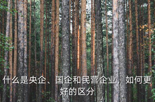 什么是央企、國(guó)企和民營(yíng)企業(yè)，如何更好的區(qū)分