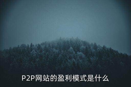 P2P網(wǎng)站的盈利模式是什么