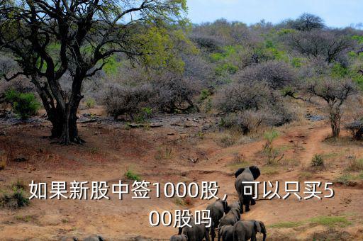 如果新股中簽1000股，可以只買500股嗎