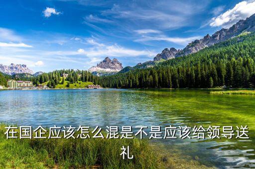 在國(guó)企應(yīng)該怎么混是不是應(yīng)該給領(lǐng)導(dǎo)送禮