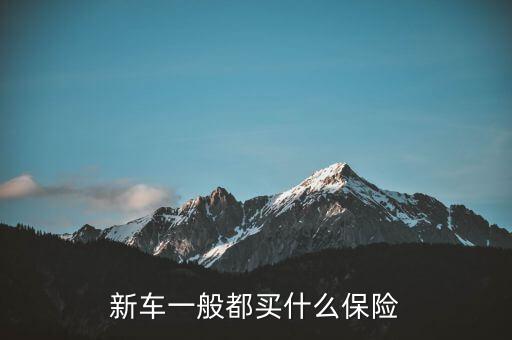 新車(chē)一般都買(mǎi)什么保險(xiǎn)