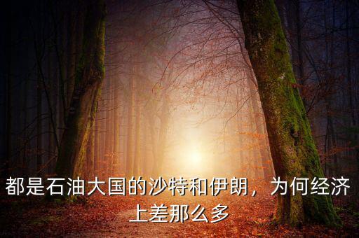 都是石油大國的沙特和伊朗，為何經(jīng)濟上差那么多