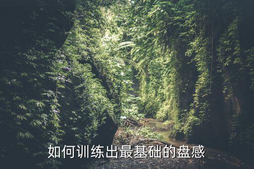 如何訓(xùn)練出最基礎(chǔ)的盤(pán)感