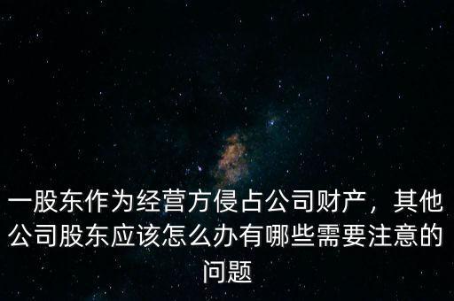 股東侵占超過股份的錢怎么辦,其他公司股東應該怎么辦