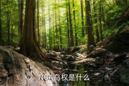 NBA鳥(niǎo)權(quán)是什么