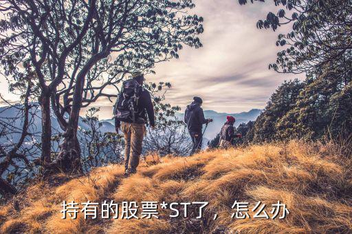 買(mǎi)st股票有什么好處,如何選擇st股票