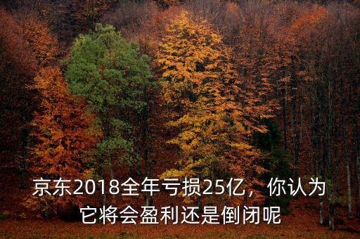 京東2018全年虧損25億，你認為它將會盈利還是倒閉呢