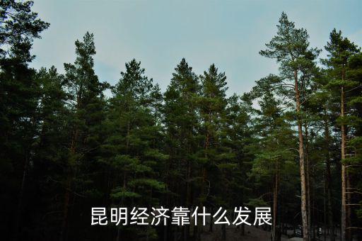 中國經濟發(fā)展靠什么,海南經濟是靠什么發(fā)展起來的