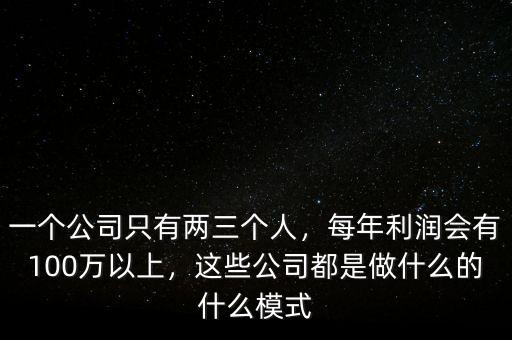 一個公司只有兩三個人，每年利潤會有100萬以上，這些公司都是做什么的什么模式